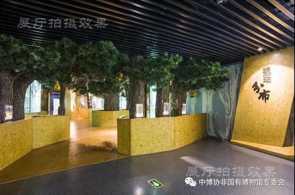 微信图片_20190517093511.jpg